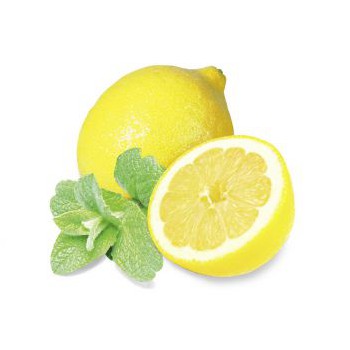 Citronová máta